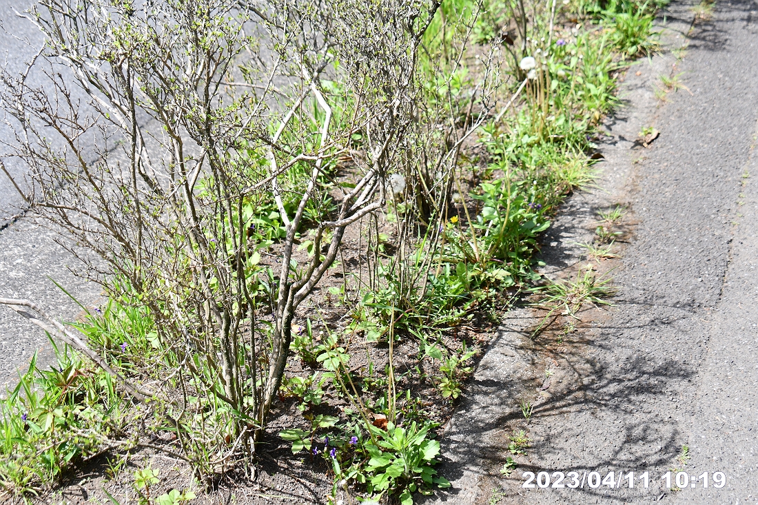 多摩市・都立桜ヶ丘公園周辺